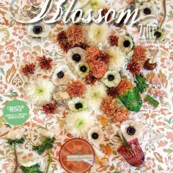 COVER SPRING Blossom zine N 24 Spring br web